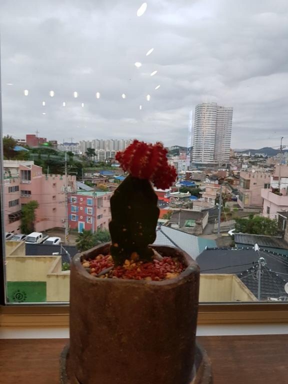 White Windmill Guesthouse Mokpo Exterior photo